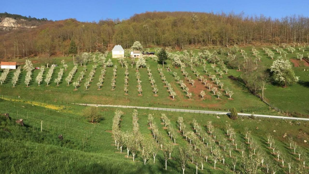 בית כפרי Kljajevica Orchard פלייבליה